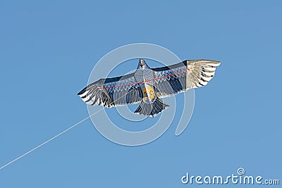 Hawk kite Stock Photo