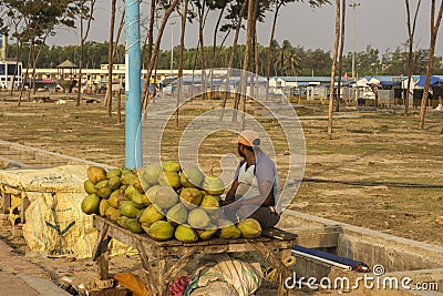 A hawker selling raw green coconut water at Digha sea beach, west Bengal Editorial Stock Photo