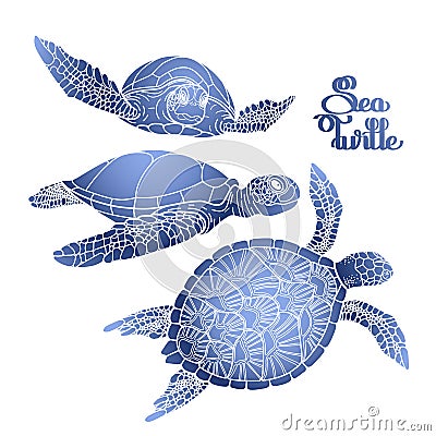 Hawksbill sea turtle collection Vector Illustration