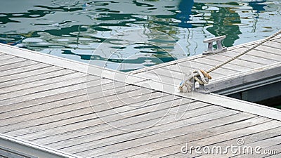 Hawser at jetty with sailing rope knot Stock Photo