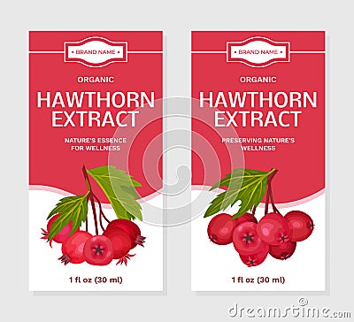 Hawthorn Berry Extract Sticker Design with Ripe Fruit Vector Template Vector Illustration