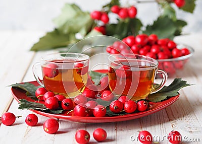 The hawthorn harvesting season for future use. Alternative medicine. The benefits of herbal hawthorn tea.Two cups of herbal tea on Stock Photo