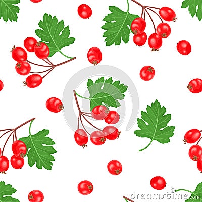 Hawthorn seamless pattern. Vector illustration of red berries and green leaves in cartoon flat style. Vector Illustration