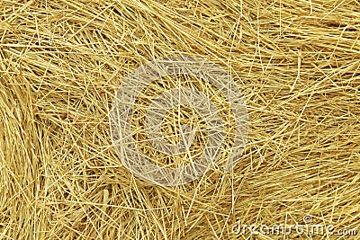 Hay. Background Stock Photo
