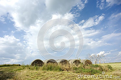 Hay Bails Stock Photo