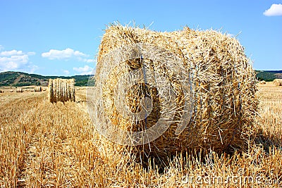 Hay bale Stock Photo