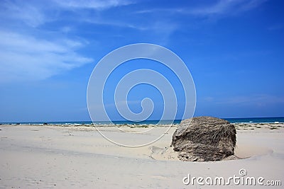 Hay bale on beach Stock Photo