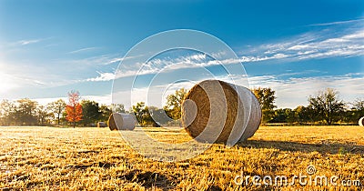 Hay bale in a farm field Stock Photo