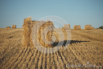 Hay bale on field with wheat straw and sky in the farm land at s Stock Photo