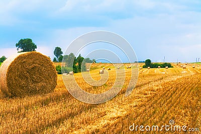 Hay bale. Wheat yellow golden harvest in summer. Beautiful landscape with lake on background. Stock Photo