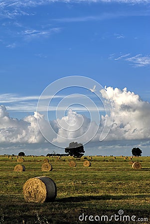 Hay bales Stock Photo