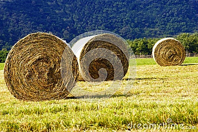 Hay bales Stock Photo