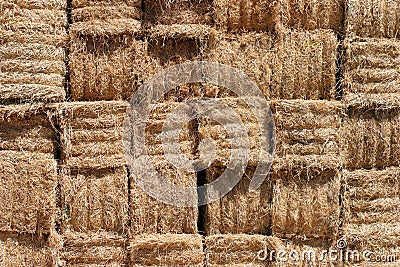 Hay bales background Stock Photo