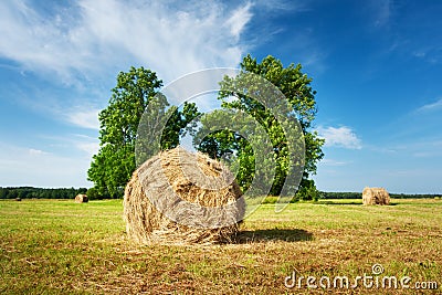 Hay bales with blue sky Stock Photo