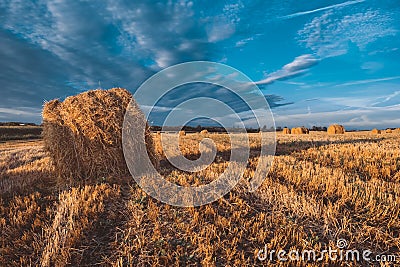 Hay bales on field in autumn weather. Stock Photo