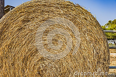 Hay bales on the field after harvest Stock Photo