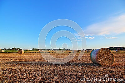 Hay bales field Stock Photo