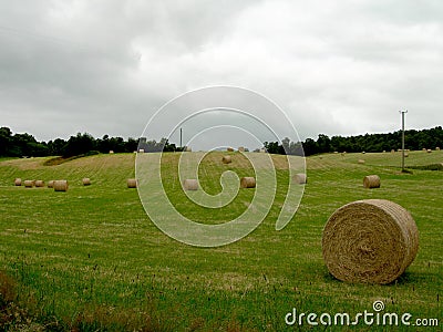 Hay bales field Stock Photo