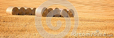 Hay bales in a field in summer after harvest. Panoramic countryside background Stock Photo