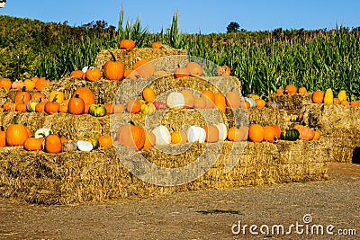 Hay Bales With Squash & Pumpkins For Halloween Stock Photo