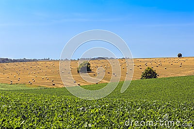 Hay bale on hills Stock Photo