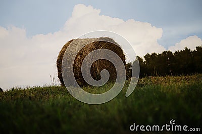 Hay bales in a meadow. Straw and bales on the field. Countryside natural landscape Stock Photo