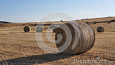 Hay bales on Mesaoria plains Stock Photo