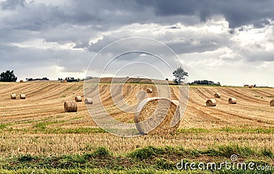 Hay bales in rural scenic landscape Stock Photo