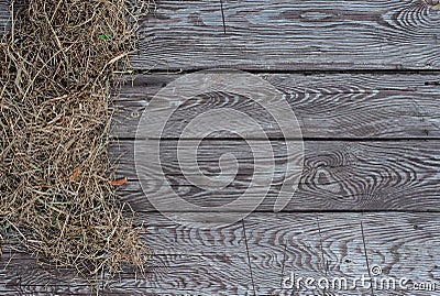 Hay on the brown aged wooden board background Stock Photo
