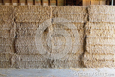 Hay bundle Stock Photo