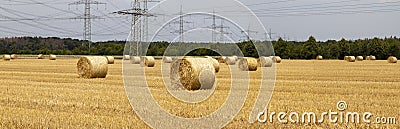 Hay bundles on a harvested field Stock Photo