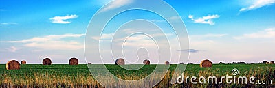 Hay Field Panoramic Stock Photo