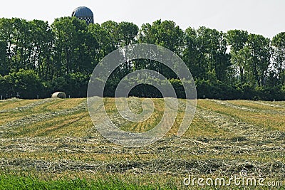 Hay Field Stock Photo