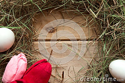 Hay frame, tulips and eggs on wooden background, top view. Stock Photo