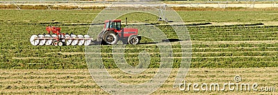 Cutting and drying alfalfa hay in an Idaho farm field. Editorial Stock Photo