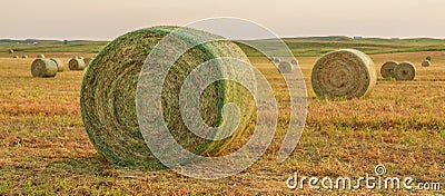 Hay harvest North Dakota Stock Photo