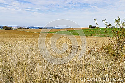 Hay landscape along touristic route Romantic Road, Germany Stock Photo