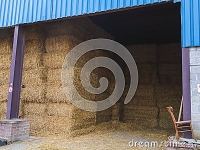 Hay in a large barn. Stock Photo