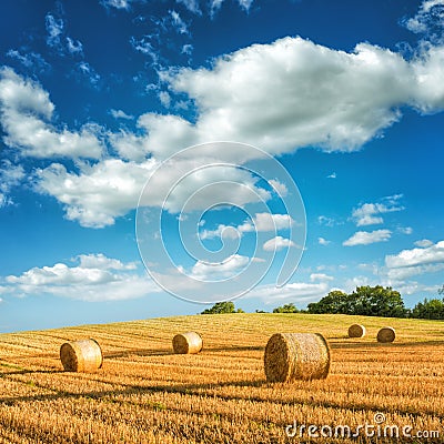 Hay in a meadow, fabulous landscapes Stock Photo