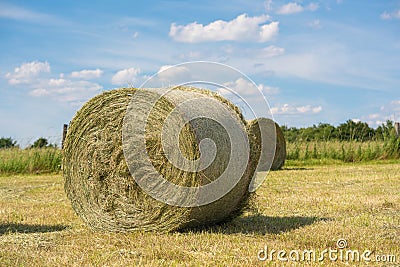 Hay Rolls, Agriculture, Germany Stock Photo