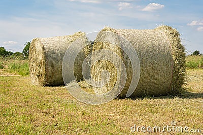 Hay Rolls, Agriculture, Germany Stock Photo