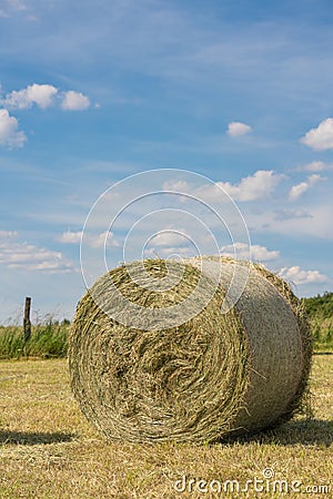 Hay Rolls, Agriculture, Germany Stock Photo