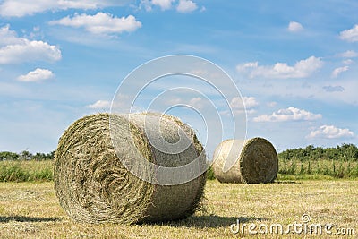 Hay Rolls, Agriculture, Germany Stock Photo