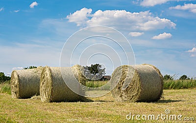 Hay Rolls, Agriculture, Germany Stock Photo