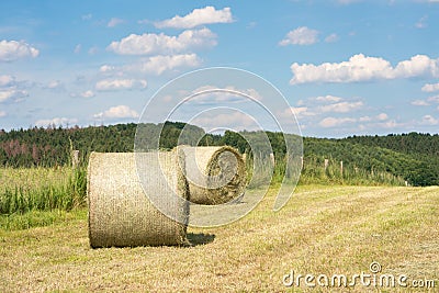 Hay Rolls, Agriculture, Germany Stock Photo