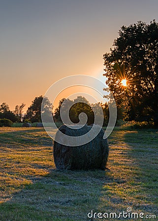 Hay Rolls, Agriculture, Germany Stock Photo