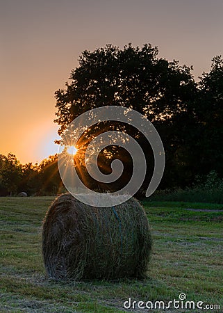 Hay Rolls, Agriculture, Germany Stock Photo