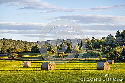 Hay rolls on green field at sunset in Provence, France Stock Photo