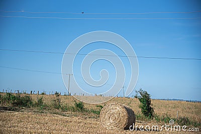 Hay rolls in small rural production fields in Brazil Stock Photo