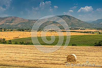 Hay and round bales on the wheat field after harvest. Italy Stock Photo